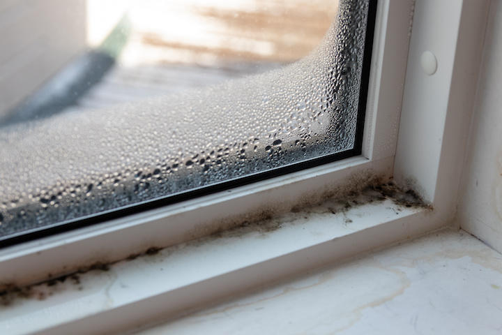 【汚れ度合い別】窓枠に発生するカビの掃除方法やカビ防止法をご紹介！